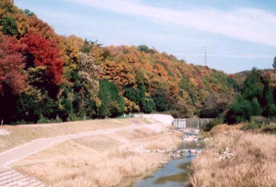 yato-bashi.jpg(34kB)